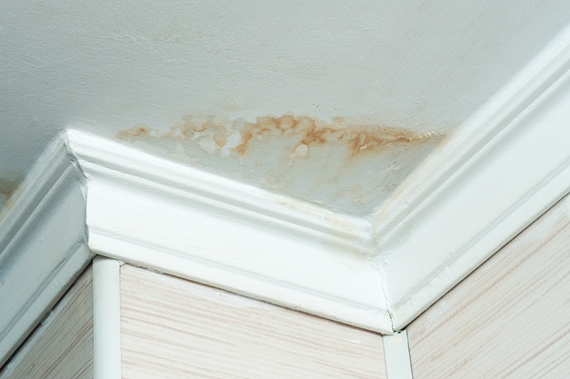 Water Stain On Ceiling From Roof Leak In Toledo Home