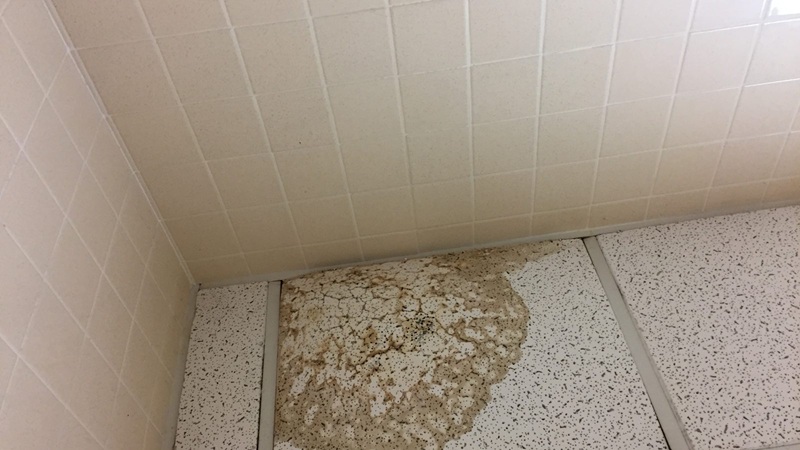 Brown water stain on a ceiling panel showing moisture damage from a leak